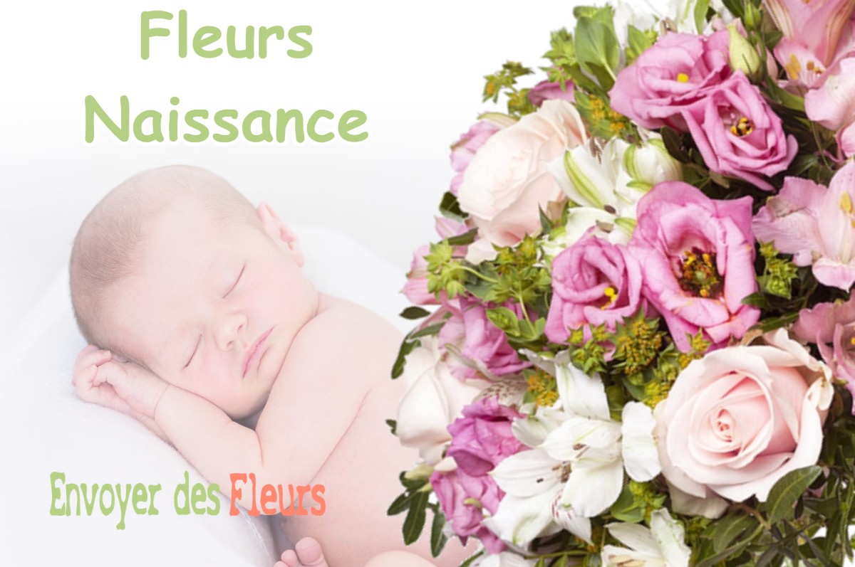 lIVRAISON FLEURS NAISSANCE à COURSEGOULES